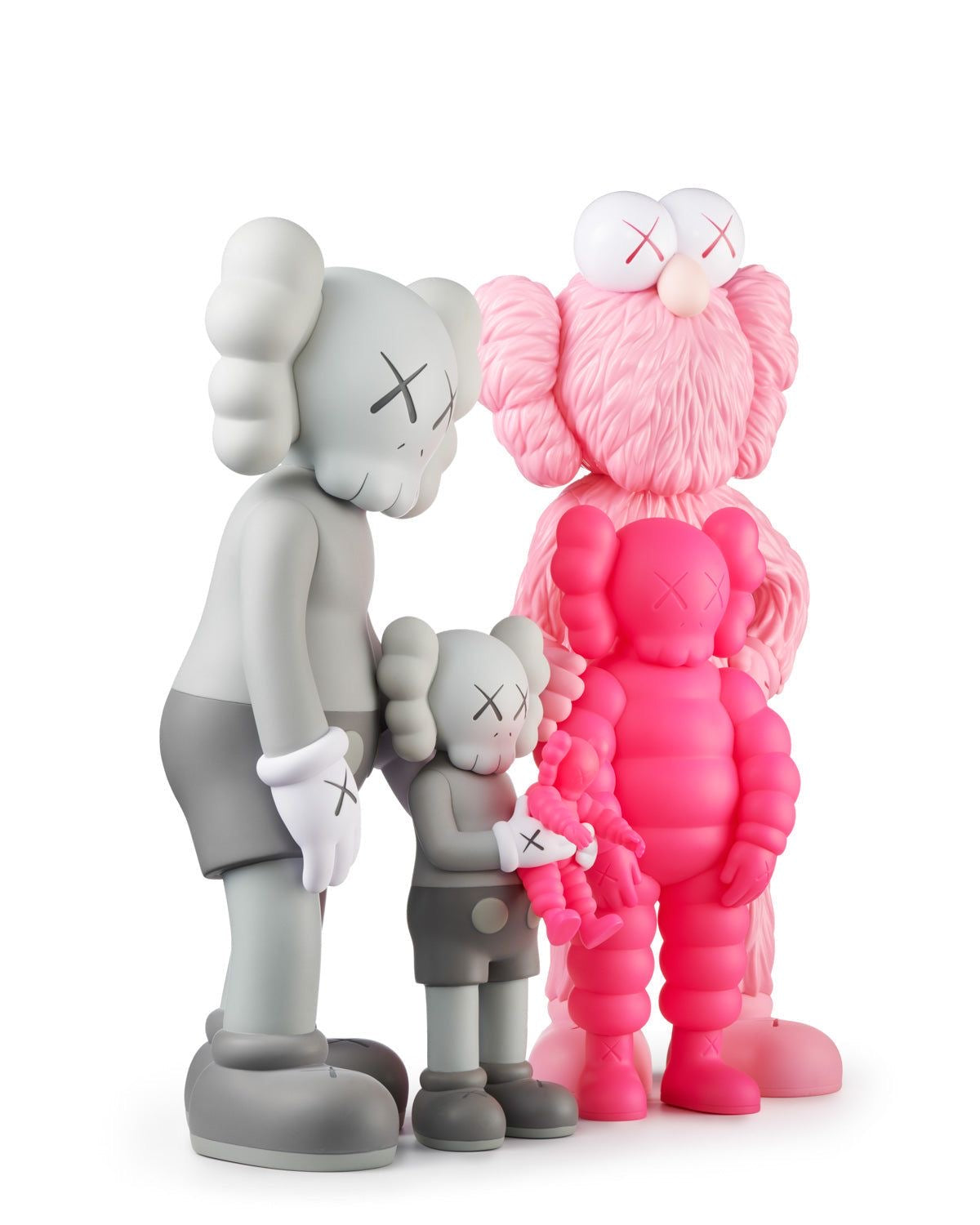 FAMILY KAWS