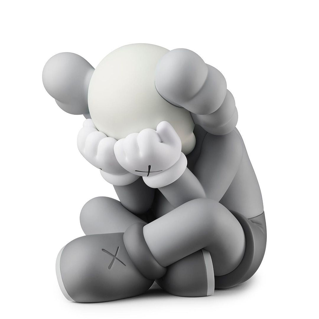 Mand Kaws Seperated companion