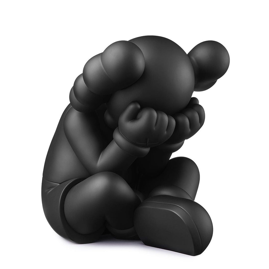 Mand Kaws Seperated companion