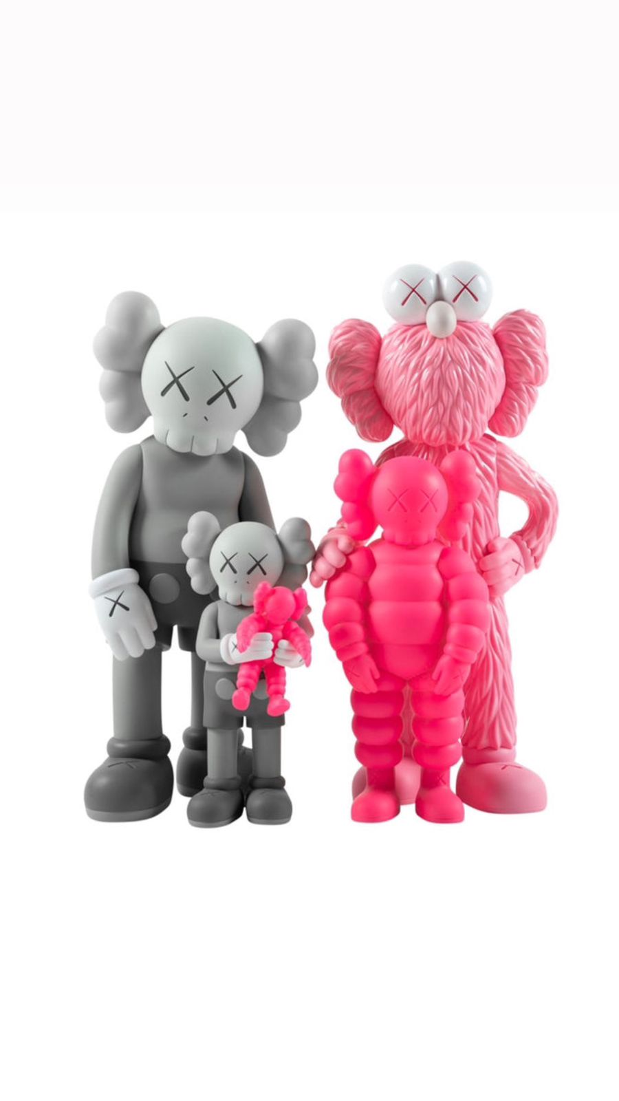 FAMILY KAWS