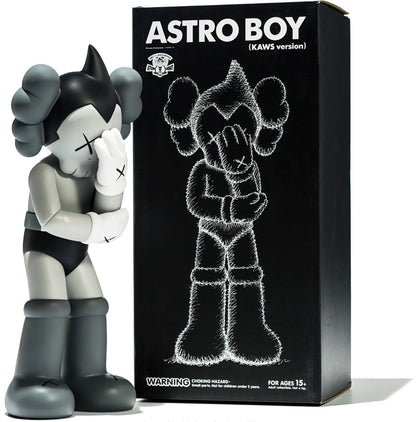 AstroBoyXKAWS