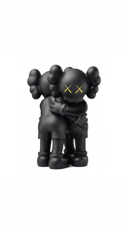 Kaws insieme